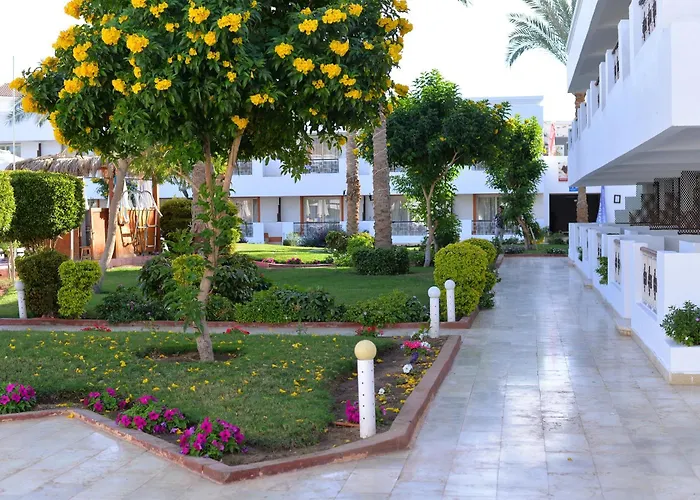 Viva Sheikh 3* Sarm es-Sejk